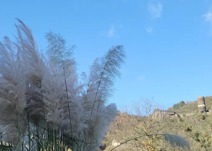 Burgener Burgblick Burgen (Mayen-Koblenz)